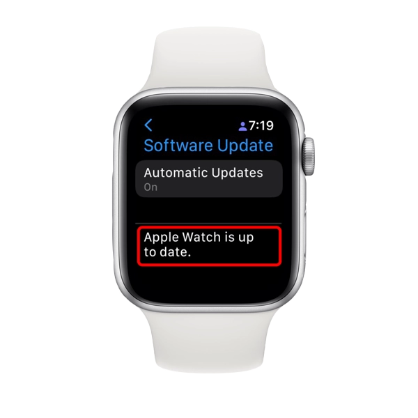 Software